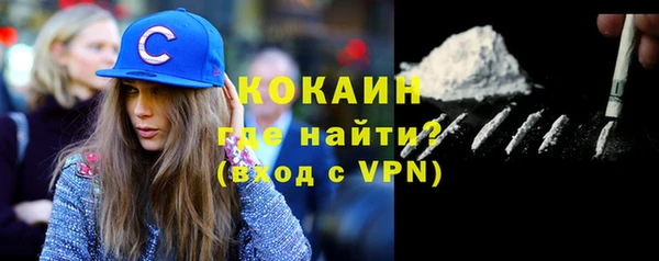 крисы Новокубанск