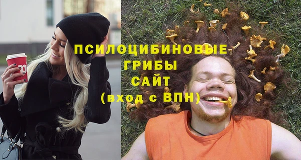 синтетический гашиш Няндома