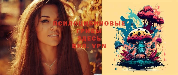 синтетический гашиш Няндома