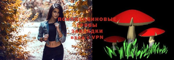 дмт Нязепетровск